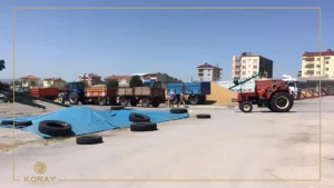 koray_tarim_urunleri_sürdürülebilir_tarimcilik_3